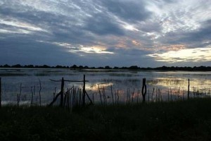 Vroegoggend op die Okavango_Seronga